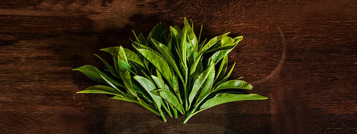 Tea Cultures