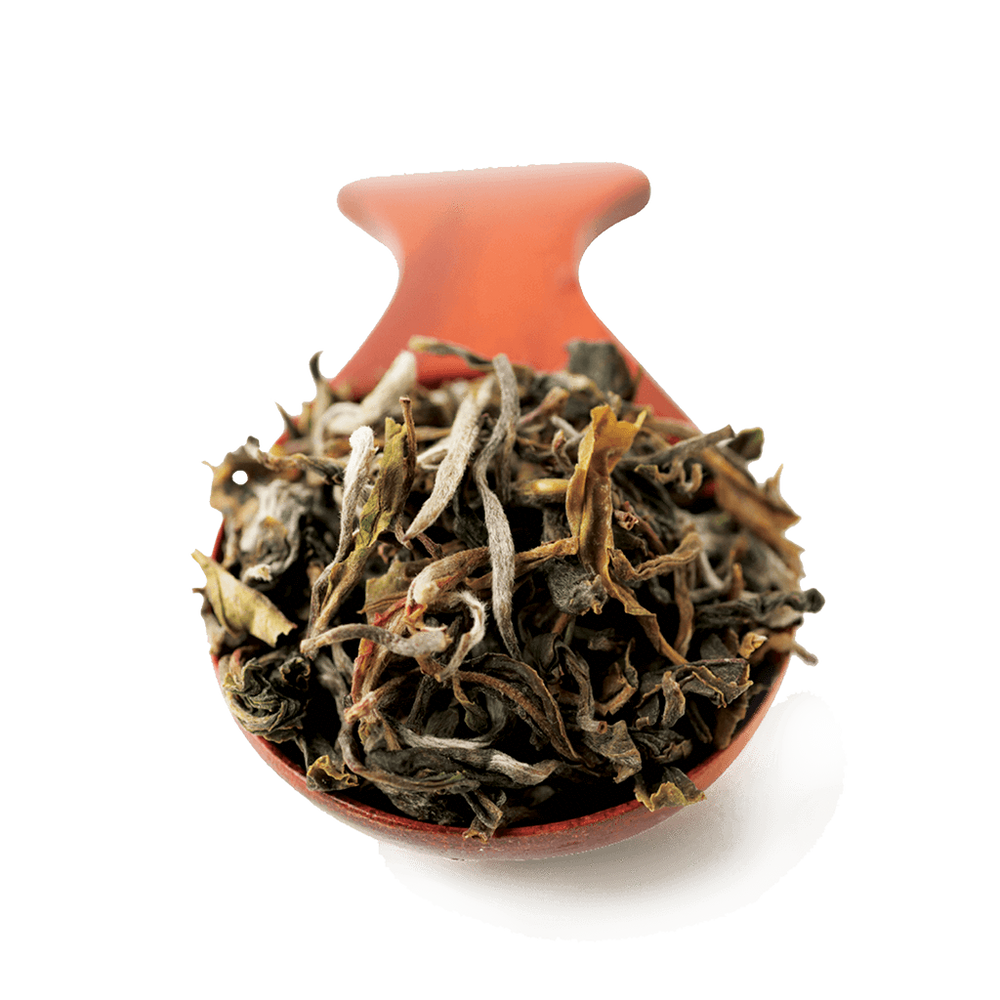 Reeti White Tea - Teamonkstore